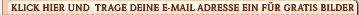 Trage Deine E-Mail Adresse ein und los geht es