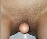 Rasiert