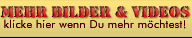Trage Deine E-Mail Adresse ein und los geht es!